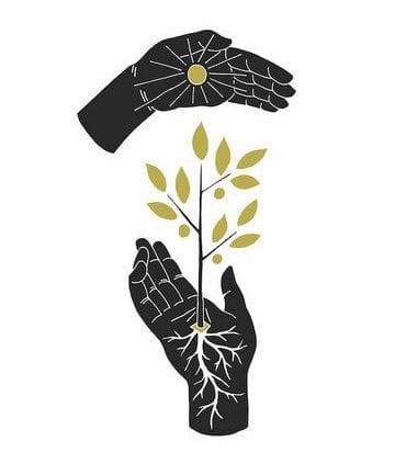 Suji's Motherhood Experience